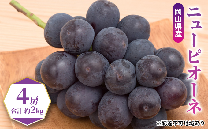 �y���R���ʖ�s�z�Ԃǂ� 2026�N ��s�\�� �j���[ �s�I�[�l 4�[�i���v��2kg�j �u�h�E ����  ���R���Y ���Y �t���[�c �ʕ� �M�t�g �ʕ���