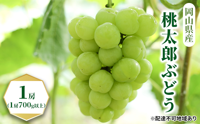 yRʖszԂǂ 2026N s\ Y Ԃǂ 1[i1[700gȏjϔ  uhE   RY Y t[c ʕ Mtg ʕ