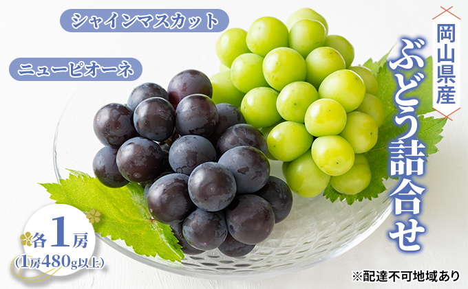 ぶどう 2026年 先行予約 詰合せ ニュー ピオーネ 1房（1房480g以上） シャイン マスカット 1房（1房480g以上） ブドウ 葡萄 岡山県産 国産 フルーツ 果物 ギフト ニューピオーネ 