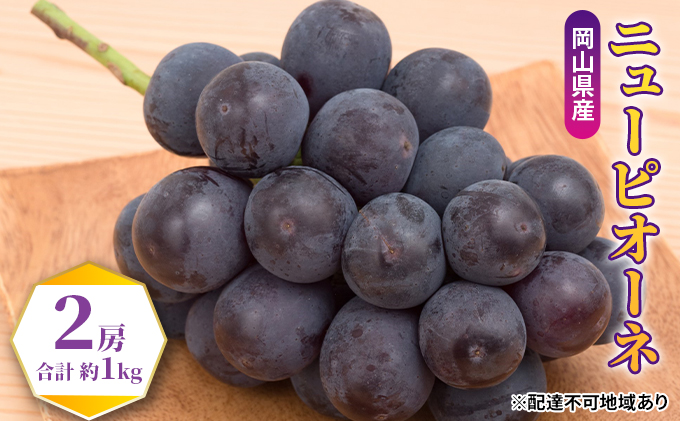 yRzԂǂ 2026N s\ j[ sI[l 2[iv1kgj uhE  RY Y t[c ʕ Mtg uhE