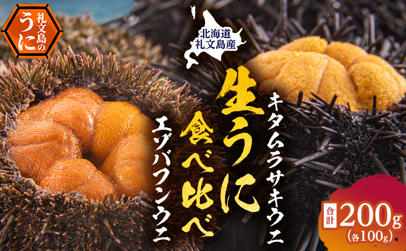 【北海道礼文町】北海道 礼文島産 ウニの食べ比べセット ( エゾバフンウニ キタムラサキウニ ) 魚貝類 雲丹 蝦夷バフンウニ うに