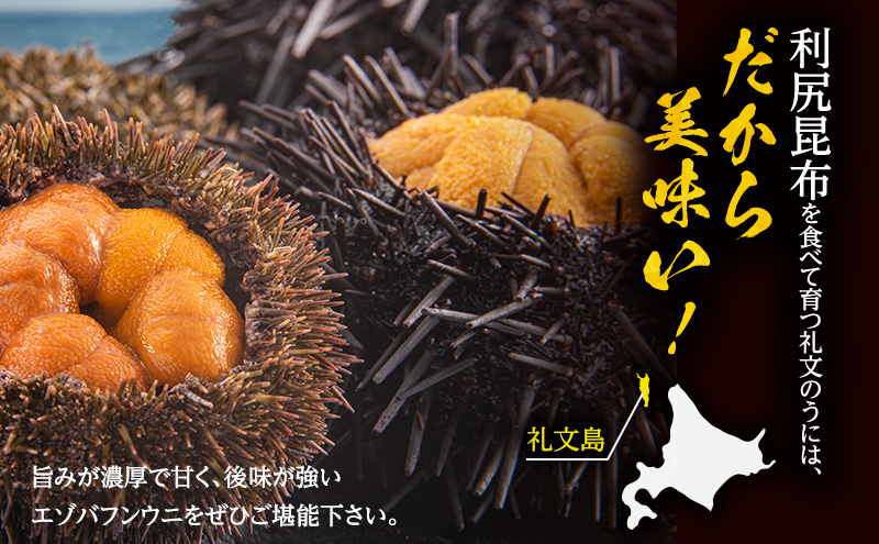 北海道礼文島産　ウニの食べ比べセット1kg（蝦夷バフンウニ・キタムラサキウニ） 魚貝類 雲丹 うに 