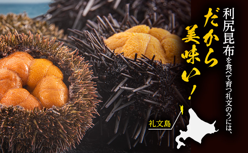 北海道礼文島産　ウニの食べ比べセット600g（蝦夷バフンウニ・キタムラサキウニ） 魚貝類 雲丹 うに 