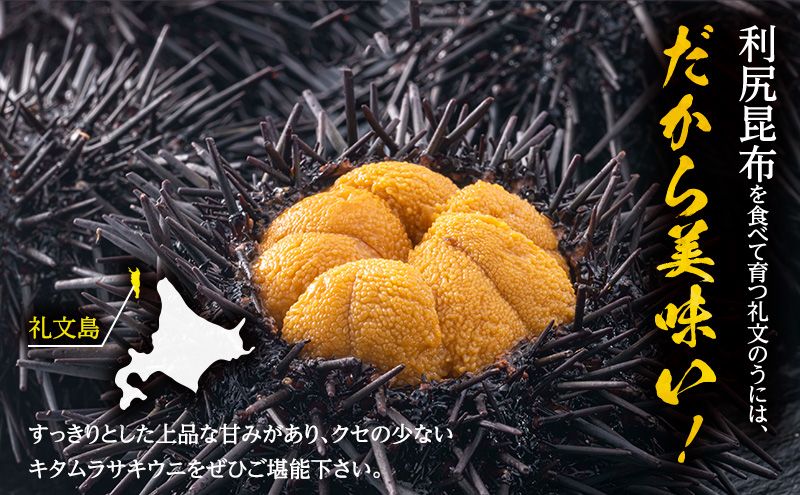 北海道 礼文島産 採れたて キタムラサキウニ 塩水パック 100g×5 生うに 生ウニ  塩水うに 魚貝類 雲丹 500g 