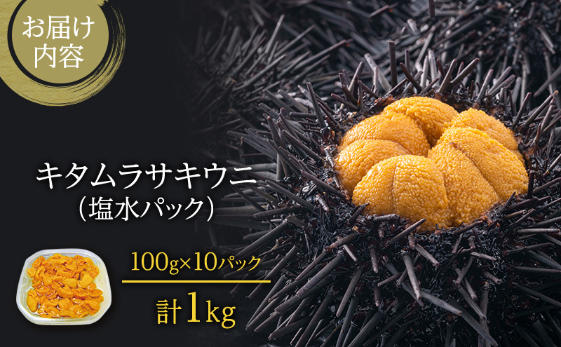 北海道 礼文島産 採れたて キタムラサキウニ 塩水パック 100g×10 生うに 生ウニ  塩水うに 魚貝類 雲丹 1kg 