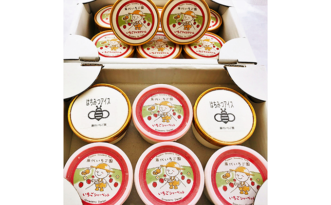 浜いちごの アイスクリーム シャーベット いちご畑のはちみつアイス 詰め合わせ アイス セット スイーツ デザート イチゴ 苺 