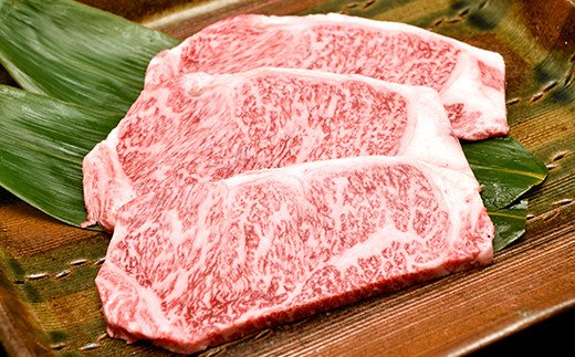 yꌧߍ]szߍ][XXe[Ly450gzyDK05Wz