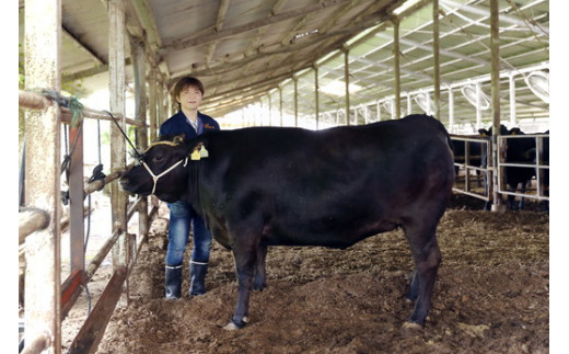 生産牧場指定　料亭こだわりの近江牛　サーロインステーキ【200g×3枚】【DM01W】