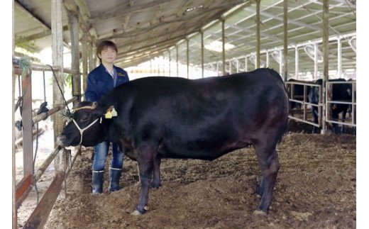 生産牧場指定　近江牛味噌漬け（希少大豆使用の減塩味噌）【100ｇ×4枚】【DM03W】