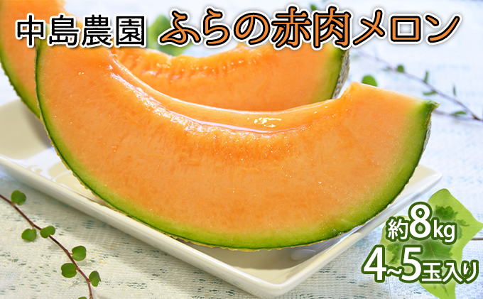 【北海道富良野市】【2026年7月〜発送】北海道 富良野市 ふらの赤肉 メロン 4〜5玉入り 計 約8kg (中島農園) メロン フルーツ 果物 新鮮 甘い 贈り物 ギフト 道産 ジューシー おやつ ふらの ブランド 夏