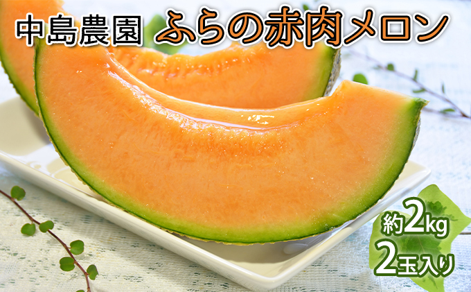 【北海道富良野市】【2026年7月〜発送】北海道 富良野市 ふらの赤肉 メロン 2kg×2玉 (中島農園) メロン フルーツ 果物 新鮮 甘い 贈り物 ギフト 道産 ジューシー おやつ ふらの ブランド 夏