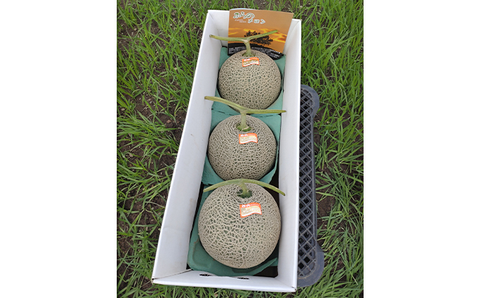 【2026年7月～発送】北海道 富良野市 ふらの赤肉 メロン 2kg×3玉 (中島農園) メロン フルーツ 果物 新鮮 甘い 贈り物 ギフト 道産 ジューシー おやつ ふらの ブランド 夏 