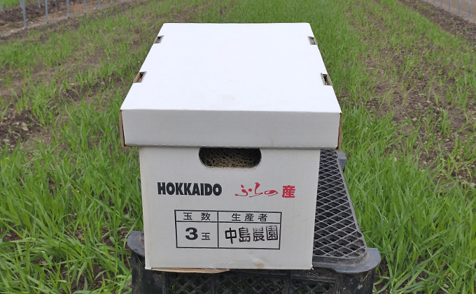 【2026年7月～発送】北海道 富良野市 ふらの赤肉 メロン 2kg×3玉 (中島農園) メロン フルーツ 果物 新鮮 甘い 贈り物 ギフト 道産 ジューシー おやつ ふらの ブランド 夏 