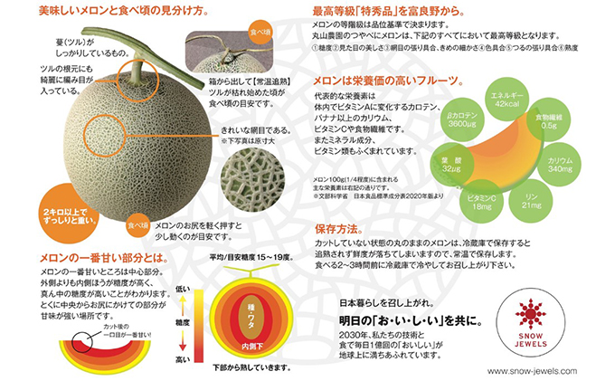 2024年10月北海道 で収穫した 松の実2kg 2024年10月北海道 で収穫した 松の実2kg しかた - フルーツ・果実