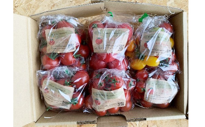 トマト詰め合わせセット 野菜 ミニトマト 