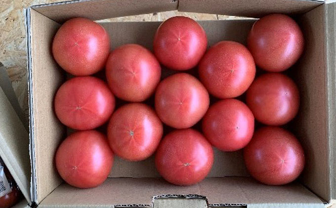 トマト詰め合わせセット 野菜 ミニトマト 