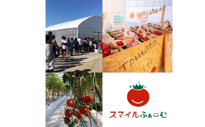 トマト詰め合わせセット 野菜 ミニトマト 