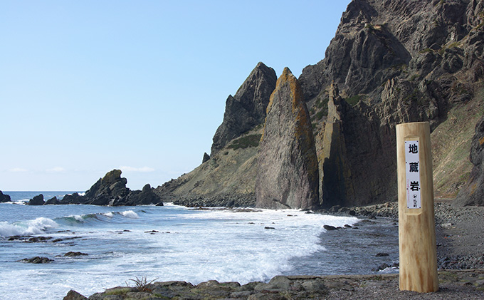北むらさきうに缶詰（蒸しうに）100g ×5缶 ウニ 雲丹 うに うに缶 北海道 魚貝類 加工食品 