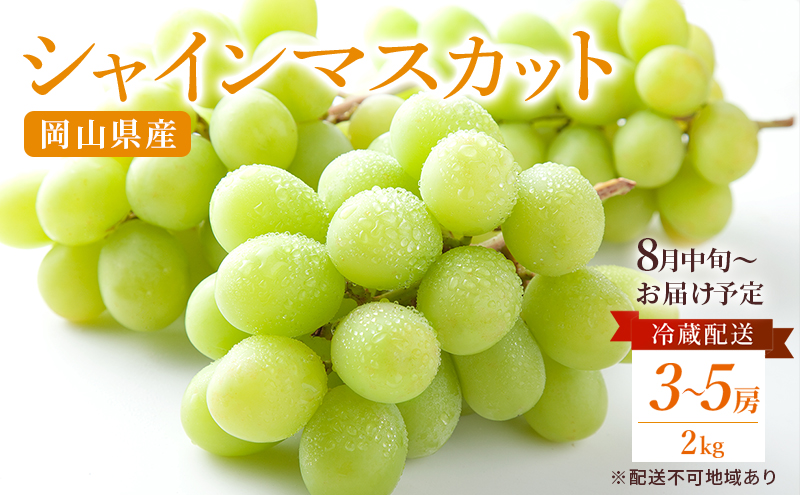 【岡山県玉野市】ぶどう 2026年 先行予約 ご家庭用 シャイン マスカット 約2kg 糖度抜群! 【8月中旬〜順次発送分】 ブドウ 葡萄  岡山県産 国産 フルーツ 果物 果物類