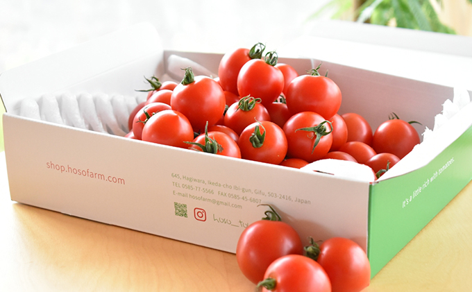 細野ファームの中玉トマト　フルティカ（1.5kg） 野菜 とまと 