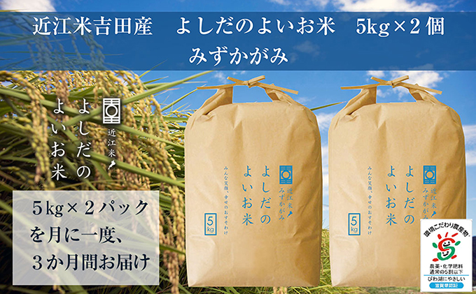 滋賀県豊郷町のふるさと納税 【定期便】米 定期便 3ヶ月 近江米 みずかがみ 10kg 令和6年 よしだのよいお米 お米 こめ コメ おこめ 白米 3回 お楽しみ