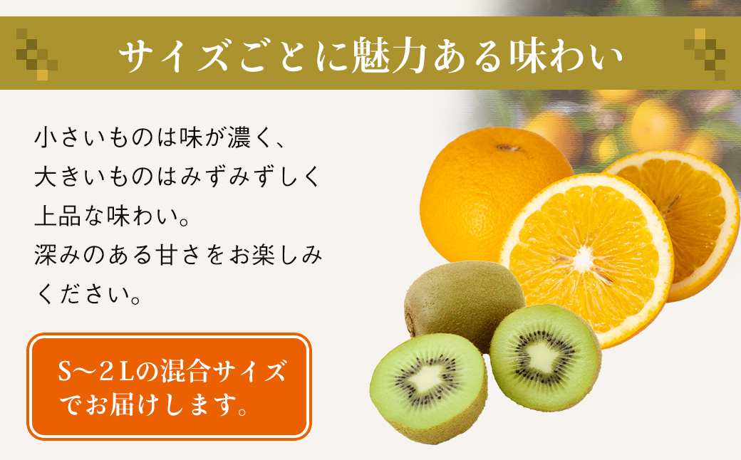 片山農園の淡路島のはっさく2.5kgとキウイ2.0kg【サイズいろいろS～2Lサイズ】