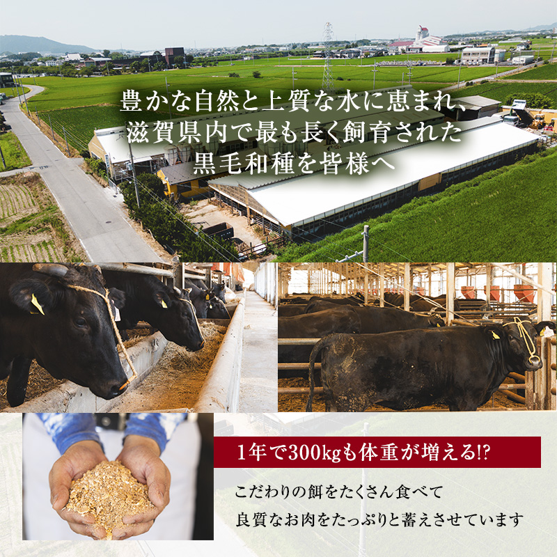 滋賀県豊郷町のふるさと納税 【近江牛 西川畜産】A5ランク雌牛 焼肉用 約850g （モモ・カタ・ウデ・バラ系等） ふるさと納税 お肉 牛肉 バーベキュー バラ(カルビ) ブランド牛