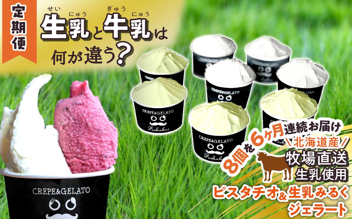 【北海道新ひだか町】<6ヶ月定期便>北海道産 生乳 ジェラート アイス 毎月8個 ピスタチオ & 生乳ミルク 各4個  詰め合わせ ジェラートセット