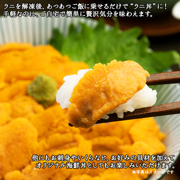 北海道弟子屈町のふるさと納税 1259.訳あり うに チリ産 冷凍 200g ワケあり ウニ チリ産 冷凍 雲丹 不揃い B級品 うに わけ あり 海鮮 4人前 丼 刺身 自宅用 送料無料 北海道 弟子屈町