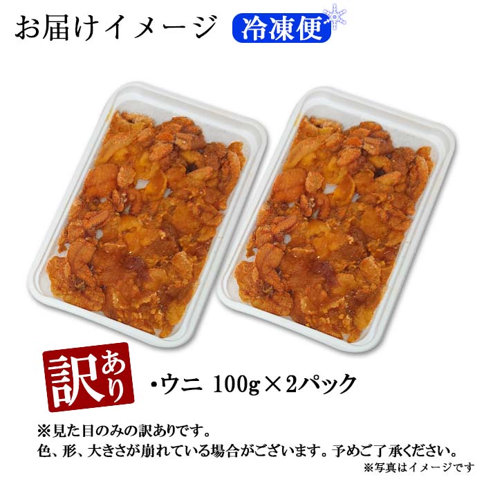 北海道弟子屈町のふるさと納税 1259.訳あり うに チリ産 冷凍 200g ワケあり ウニ チリ産 冷凍 雲丹 不揃い B級品 うに わけ あり 海鮮 4人前 丼 刺身 自宅用 送料無料 北海道 弟子屈町