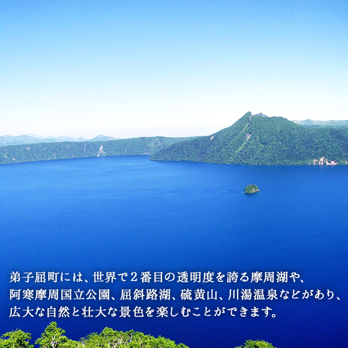 北海道弟子屈町のふるさと納税 1259.訳あり うに チリ産 冷凍 200g ワケあり ウニ チリ産 冷凍 雲丹 不揃い B級品 うに わけ あり 海鮮 4人前 丼 刺身 自宅用 送料無料 北海道 弟子屈町