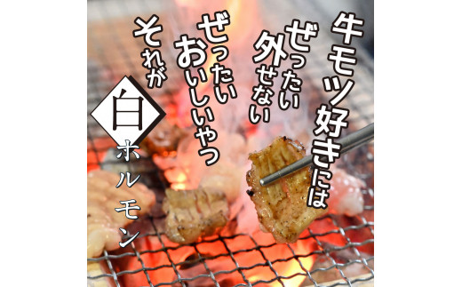 TKA005　白ホルモン 天下味オリジナル本格塩ダレ漬け（150g×６パック） 高知市共通返礼品 人気 牛肉 お肉 小腸 焼き肉 タレ 焼肉 BBQ バーベキュー 冷凍 小分け おつまみ どんぶり お手軽 食べて応援