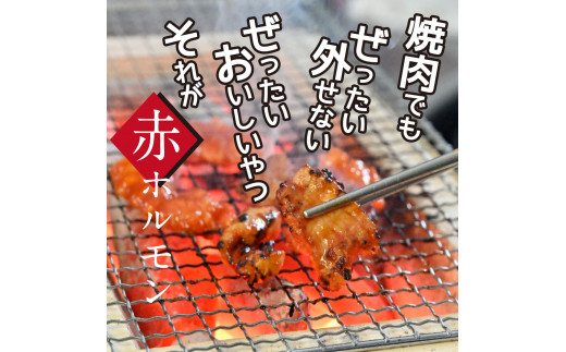 TKA003　赤ホルモン 天下味オリジナル本格コチュジャンダレ漬け（150g×６パック） 高知市共通返礼品 人気 牛肉 お肉 小腸 焼き肉 タレ 焼肉 BBQ バーベキュー 冷凍 小分け おつまみ どんぶり お手軽 食べて応援