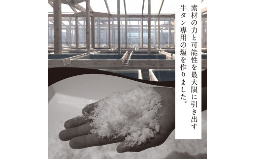 TKA001　コロナ緊急支援 芸西村の本気人気牛タン 国産 14日間ダブルエイジング〈ドライエイジング＋塩熟成〉圧巻の超高級やわらか和牛牛タン（タン元・タン中・タン先1本分）銀象完全天日塩付き 牛肉 お取り寄せ 高知 焼肉 おススメ 厚切り 食べて応援 フードロス