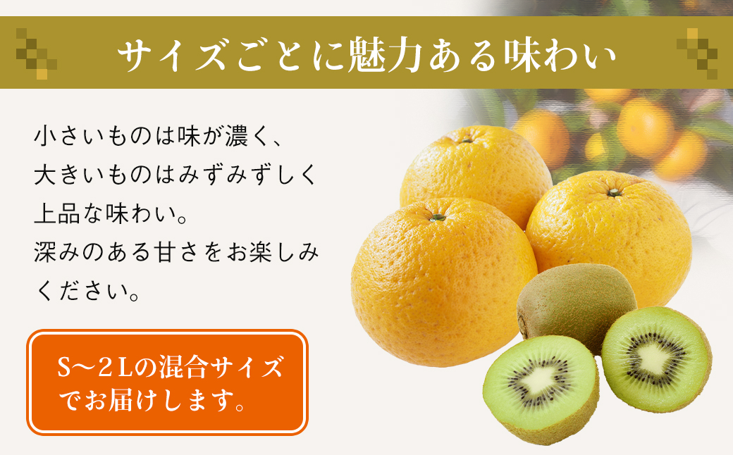 片山農園の淡路島産新甘夏2.5kgとキウイ2.0kg【サイズいろいろS～2Lサイズ】