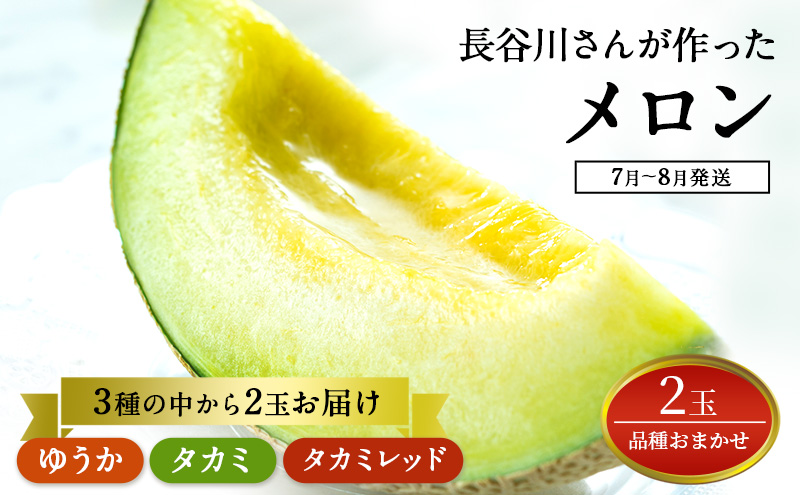 �y�X���˃��򒬁z�y��s�\��2026�N�Y�z���J�삳�񂪍����������2�i�i�킨�܂����j 7���`8�������@�X���˃��򒬎Y 2�� �ʕ��� �t���[�c �������ԓ�