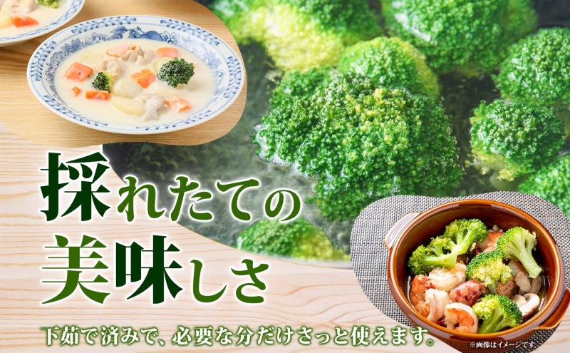 【訳あり】洞爺湖町産・冷凍ブロッコリー1kg 野菜 冷凍 冷凍野菜 カット野菜 簡単調理 ワケあり 