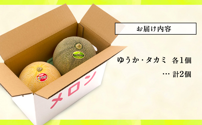 【先行予約2026年産】長谷川さんが作ったメロン2個（ゆうか・タカミ）　7月～8月発送　青森県鰺ヶ沢町産 2玉 果物類 フルーツ メロン青肉 
