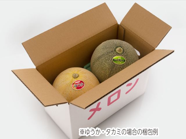 【先行予約2026年産】長谷川さんが作ったメロン2個（品種おまかせ） 7月～8月発送　青森県鰺ヶ沢町産 2玉 果物類 フルーツ メロン赤肉 