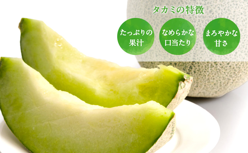 【先行予約2026年産】長谷川さんが作ったメロン3～4個（ゆうか・タカミ）　7月～8月発送　青森県鰺ヶ沢町産 果物類 メロン青肉 フルーツ 3～4玉 