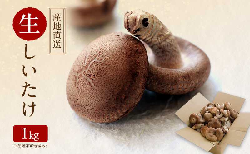 【 産地直送 】 有機JAS 生しいたけ 1kg オーガニック しいたけ きのこ 野菜 岡山県 玉野市 栽培期間中化学肥料不使用 栽培期間中農薬不使用 