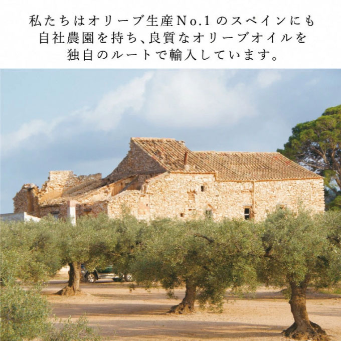 オリーブオイル 有機栽培 エキストラバージン オリーブ オイル ブレンド 6本 セット オーガニック 油 オリーブ油 食用油 調味料 詰め合わせ 