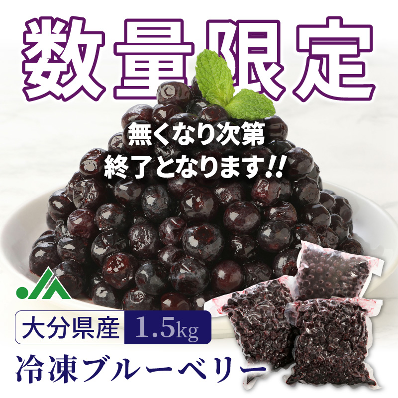 大分県国東市のふるさと納税 【ご家庭用】冷凍ブルーベリー1.5kg（大分県産）