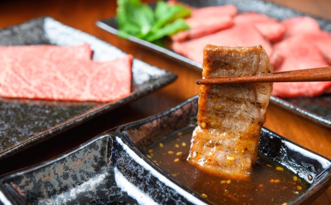 博多和牛 焼肉 セット 500g A4～A5 配送不可：離島 バーベキュー お肉 牛肉 バラ(カルビ) ロース 