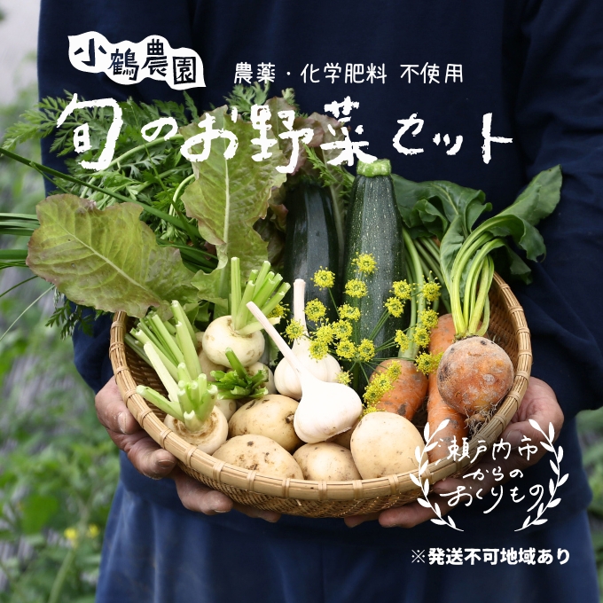 小鶴農園 季節のお野菜7～9品目セット（農薬・化学肥料不使用）【配達不可：北海道・沖縄・離島】 詰合せ 