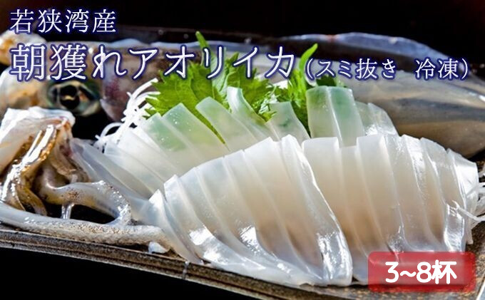 y䌧ዷzǂ AICJ 3`8t X~ Ⓚ ዷpY ǂꋛ CJ G  ⓀCJ CN  䌧 ዷ