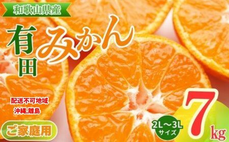 【ご家庭用】和歌山有田みかん約7kg(2L、3Lサイズ)〇 ※2025年11月上旬～2026年1月下旬頃に順次発送予定