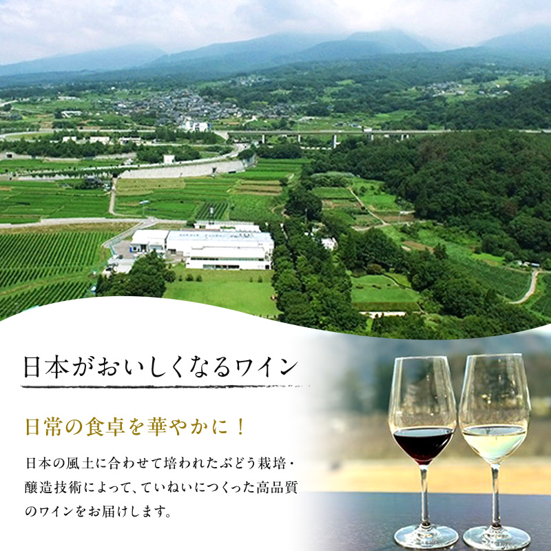 日本ワイン ソラリス 千曲川 メルロー 750ml×6本 ワイン 赤ワイン マンズワイン 酒 お酒 洋酒 果実酒 ぶどう酒 長野 長野県小諸市 