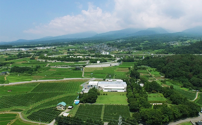 日本ワイン ソラリス 千曲川 メルロー ワイン 赤ワイン マンズワイン 酒 お酒 洋酒 果実酒 ぶどう酒 長野 長野県小諸市 