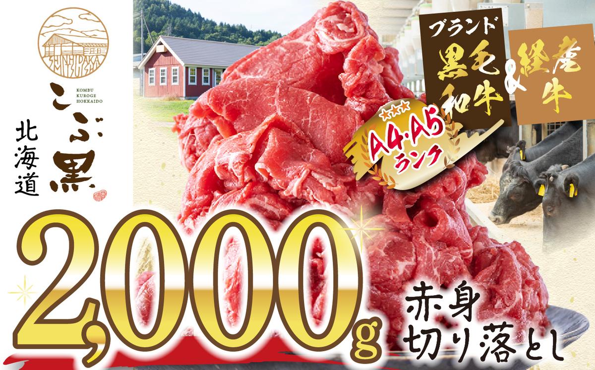 ykCVЂz󂠂 kCY јa ԍ A5 A4 Ԑg ؂藎Ƃ v 2kg (500g×4pbN)
